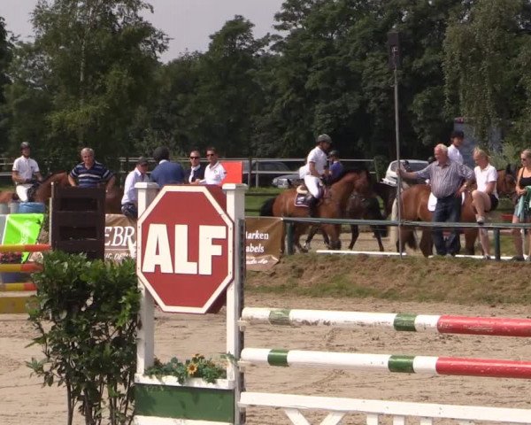 Großes Reit- und Springturnier Herbern 2014