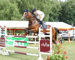 jumper Charewa (Oldenburg show jumper, 2006, from Champion For Pleasure)