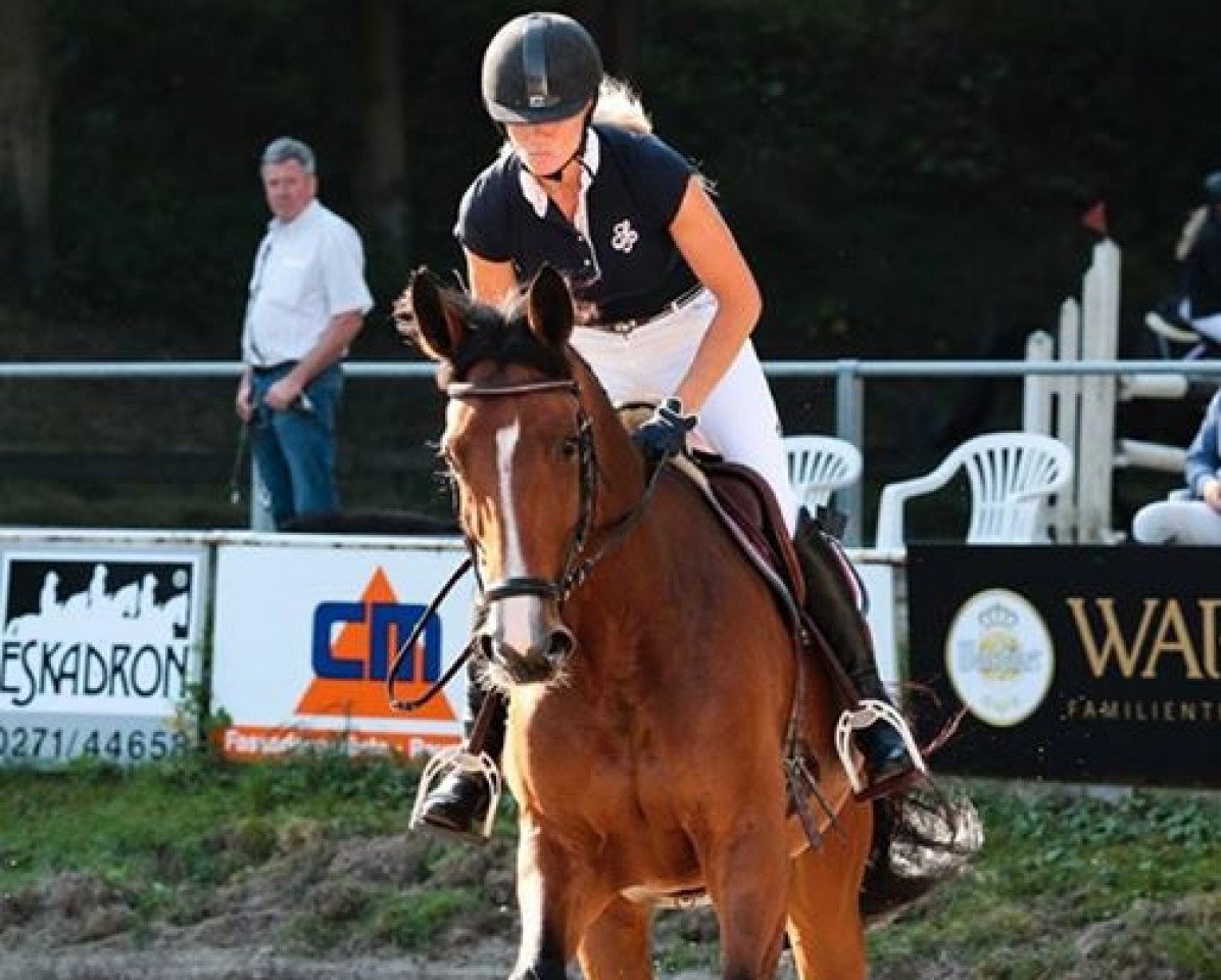 Springpferd Blümchen (Oldenburger, 2011, von Balou du Rouet)