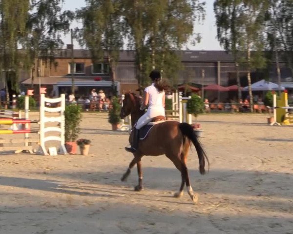 Großes Reit- und Springturnier Herbern 2014