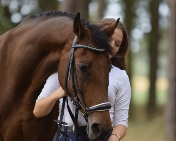 broodmare Cilli (Holsteiner, 1998, from Corleograf)