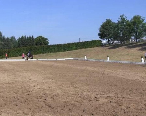 Dressur- und Springturnier Vlotho-Exter 2014