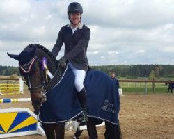 stallion Festival L (Oldenburg show jumper, 2012, from Favorit Ask)