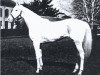 broodmare White Beauty xx (Thoroughbred, 1963, from Ky Colonel xx)