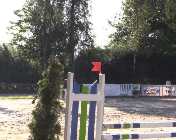 Großes Reit- und Springturnier Herbern 2014