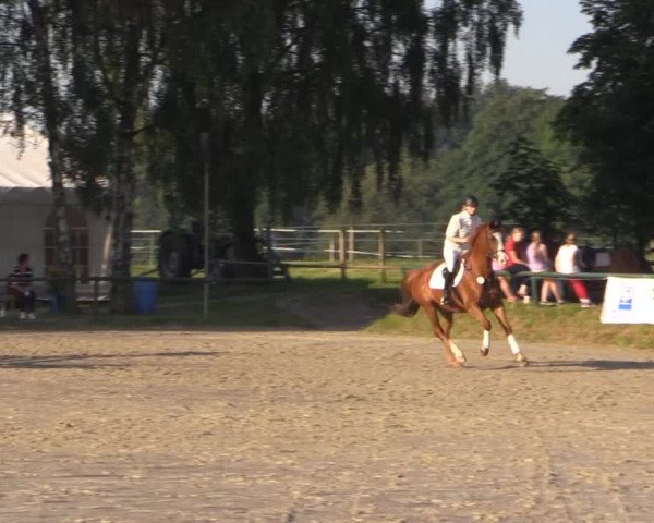 Großes Reit- und Springturnier Herbern 2014