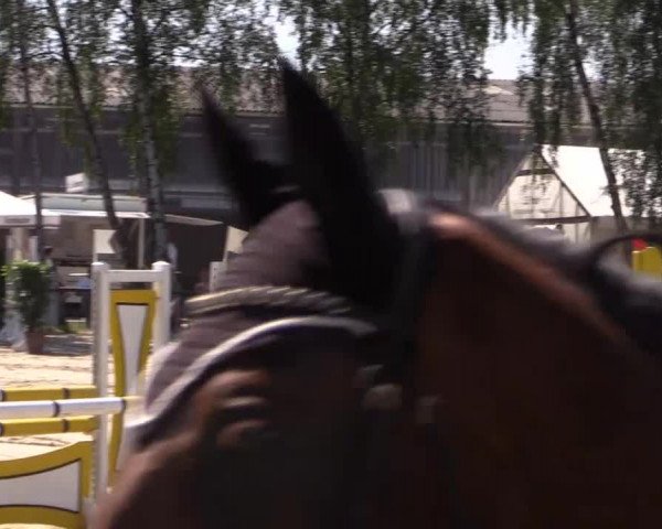 Großes Reit- und Springturnier Herbern 2014