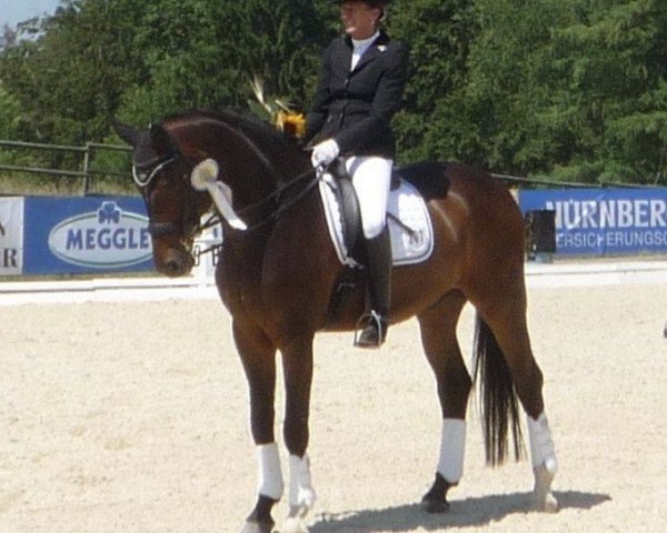 dressage horse Sandrit (Mecklenburg, 1997, from Sandro Hit)