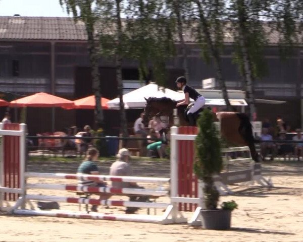 Großes Reit- und Springturnier Herbern 2014