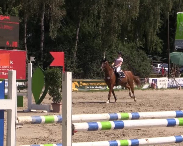 Großes Reit- und Springturnier Herbern 2014