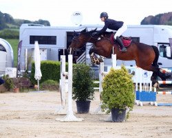 broodmare Lempicka des Blancs Z (Zangersheide riding horse, 2011, from Levisto Z)