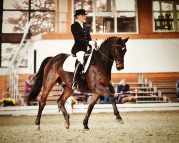 dressage horse Ramazotti 33 (Westphalian, 1992, from Rhodos)
