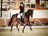 dressage horse Ramazotti 33 (Westphalian, 1992, from Rhodos)