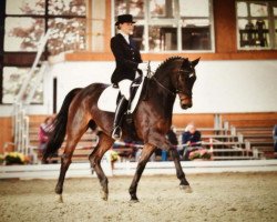 dressage horse Ramazotti 33 (Westphalian, 1992, from Rhodos)