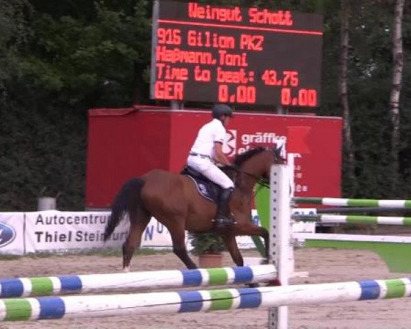 Großes Reit- und Springturnier Herbern 2014