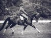 dressage horse Inya (Rhinelander, 2007, from Insterburg TSF)