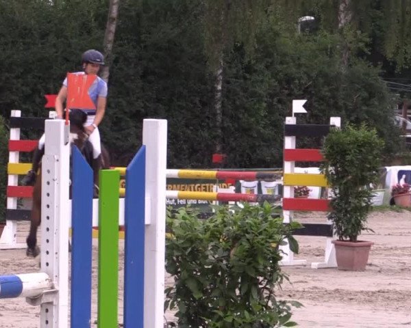 Großes Reit- und Springturnier Herbern 2014