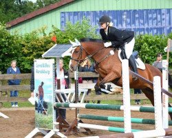 jumper Santana 1044 (German Riding Pony, 2009, from Ginger 556)