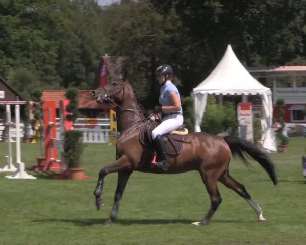 Westfalen-Woche 2014