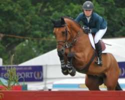 jumper Quick Shine (KWPN (Royal Dutch Sporthorse), 2007, from Numero Uno)