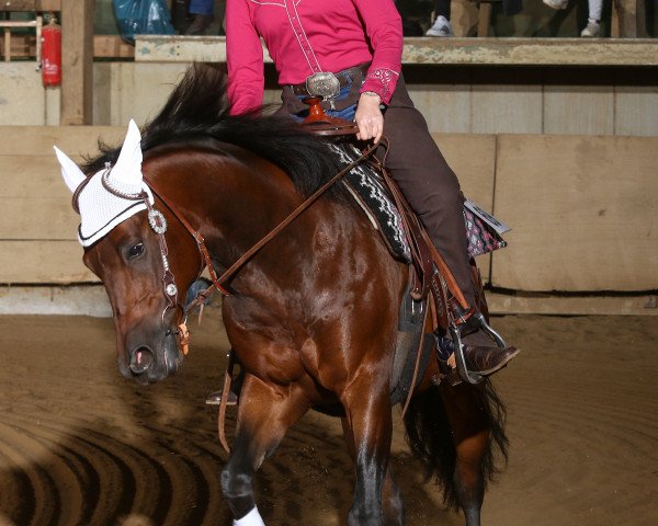 Pferd Magic Xylophones (Quarter Horse, 2012)