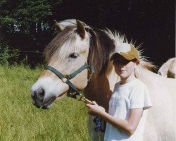 Pferd Titan (Fjordpferd, 1988, von Thor)