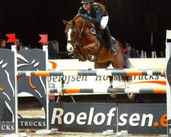 Springpferd Bosvallei's Tiego (Nederlands Welsh Ridepony, 2004, von Kielshoop Honeymill)