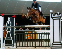 jumper Nosebreaker (KWPN (Royal Dutch Sporthorse), 2005, from Carthino Z)