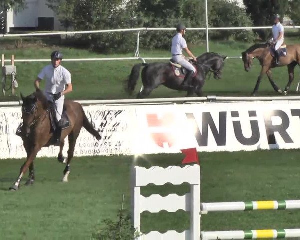 54. Süddeutsche Championate - Scharlachrennen
