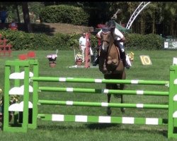 horse Red Kampari (Italian Warmblood, 2010, from Campione)