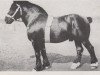 stallion Roland von der Grossen Burg (Rhenish-German Cold-Blood, 1915, from Trompeter Ldb Wi)