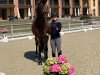 dressage horse Di Callas (Westphalian, 2009, from Diamond Hit)