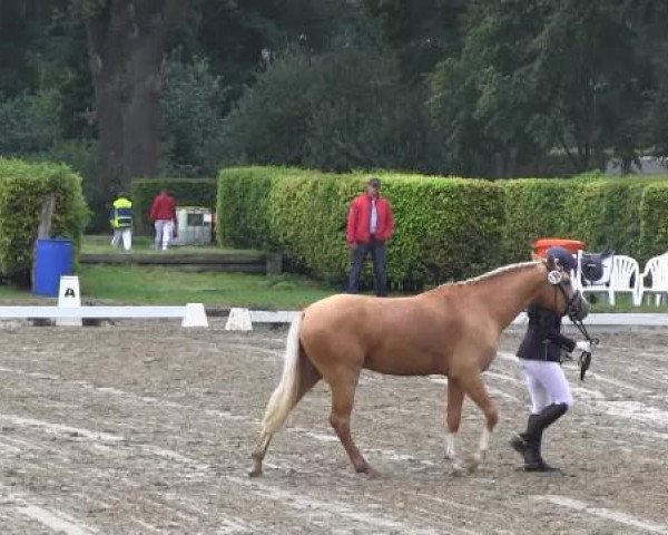 Westfalen-Woche 2014
