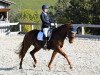 dressage horse Race Kelly (Bavarian, 2007, from Herzruf)