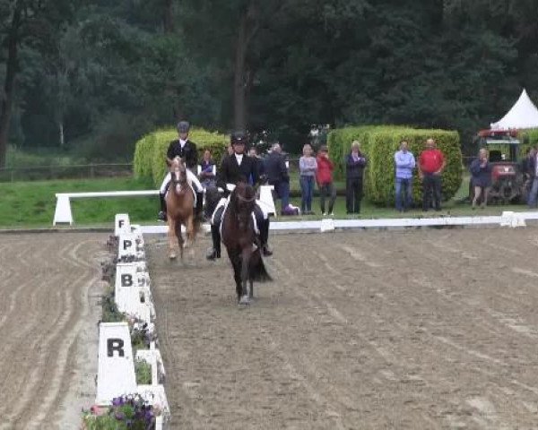 Westfalen-Woche 2014