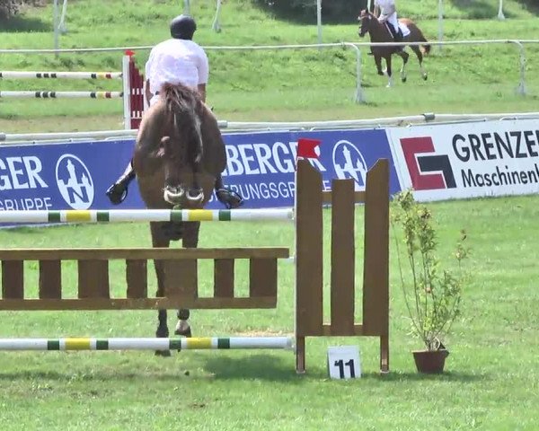 54. Süddeutsche Championate - Scharlachrennen