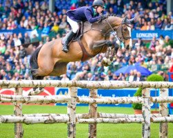 jumper Wilton John VDL (KWPN (Royal Dutch Sporthorse), 2003, from Mill Reef)