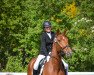 dressage horse Qusieben (Oldenburg, 2009, from Quaterback)