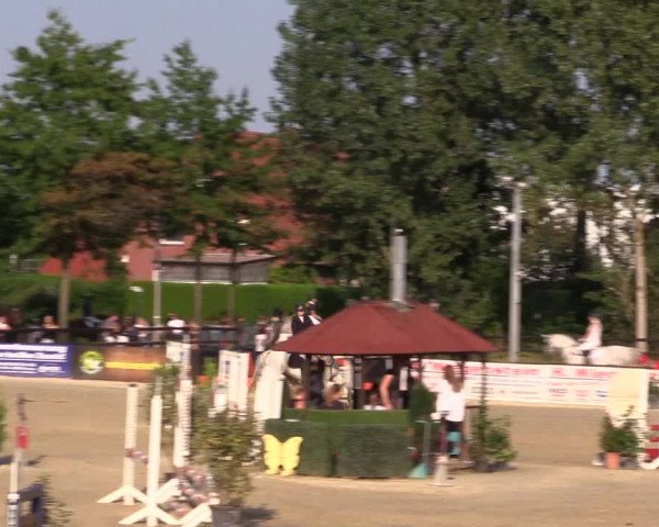 Dressur- und Springturnier Ochtrup 2021