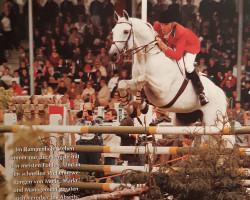 Deckhengst Abdullah (Trakehner, 1970, von Donauwind)