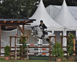 jumper Caressithaga PS (Oldenburg show jumper, 2012, from Caressini L)