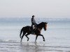 dressage horse Bonne Claire (Oldenburg, 2012, from Bordeaux 28)