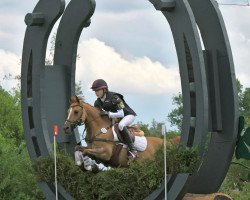 Springpferd Dream of Angel K (Hessisches Warmblut, 2005, von Dornik B)