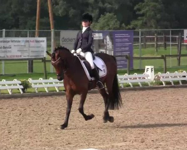 61. Lobbericher Reitsportfestival CDN