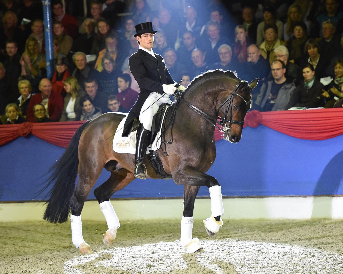 Deckhengst Fidertanz (Rheinländer, 2002, von Fidermark)