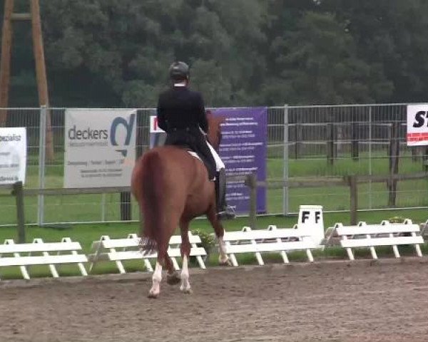 61. Lobbericher Reitsportfestival CDN