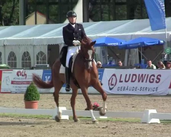 61. Lobbericher Reitsportfestival CDN