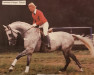 stallion Patras (Trakehner, 1974, from Index)