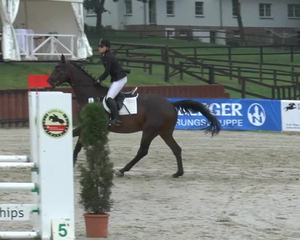 Bexter Hof Open 2014