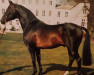 stallion Sacramento Song xx (Thoroughbred, 1967, from Sicambre xx)
